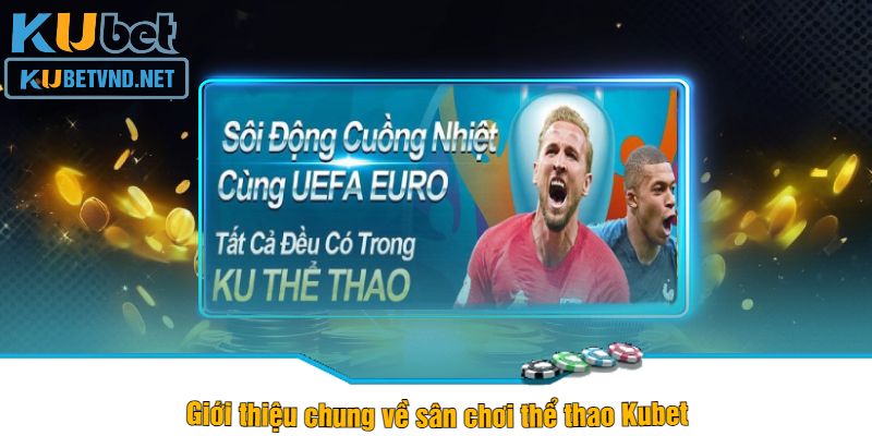 Giới thiệu chung về sân chơi thể thao Kubet 