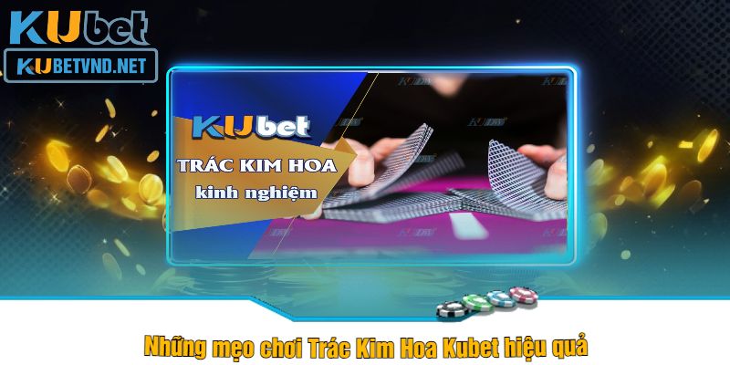 Những mẹo chơi Trác Kim Hoa Kubet hiệu quả